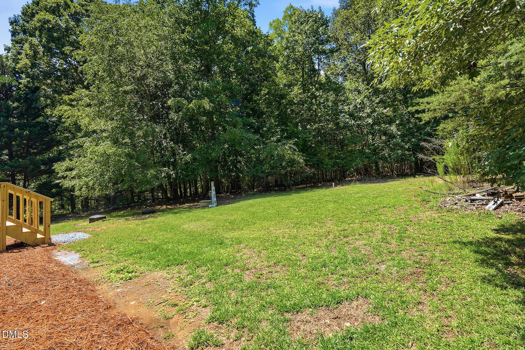 3615 Moriah Road Rougemont, NC 27572 - Photo 28 of 30 Back Yard