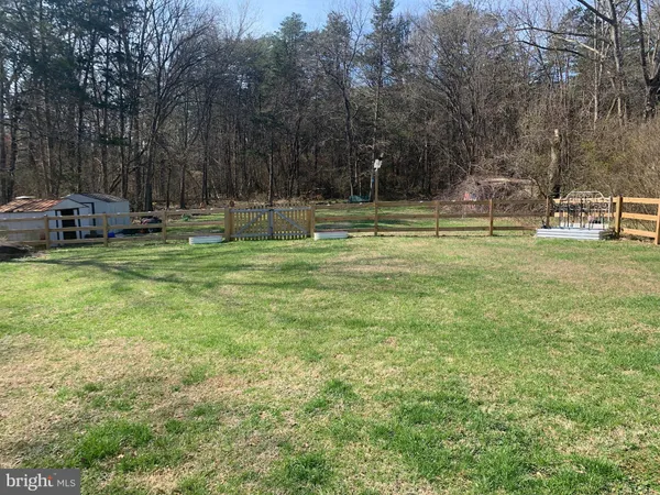 a view of a yard
