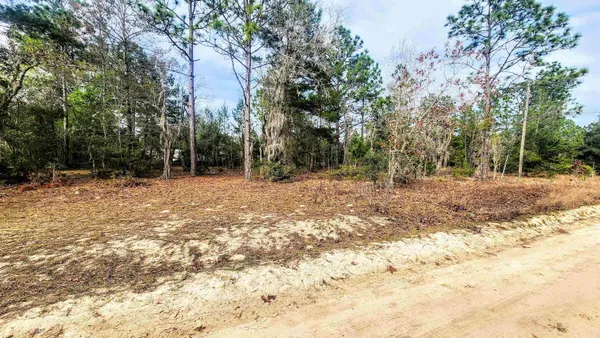 $9,900 | Caribbean Street, Interlachen, FL 32148