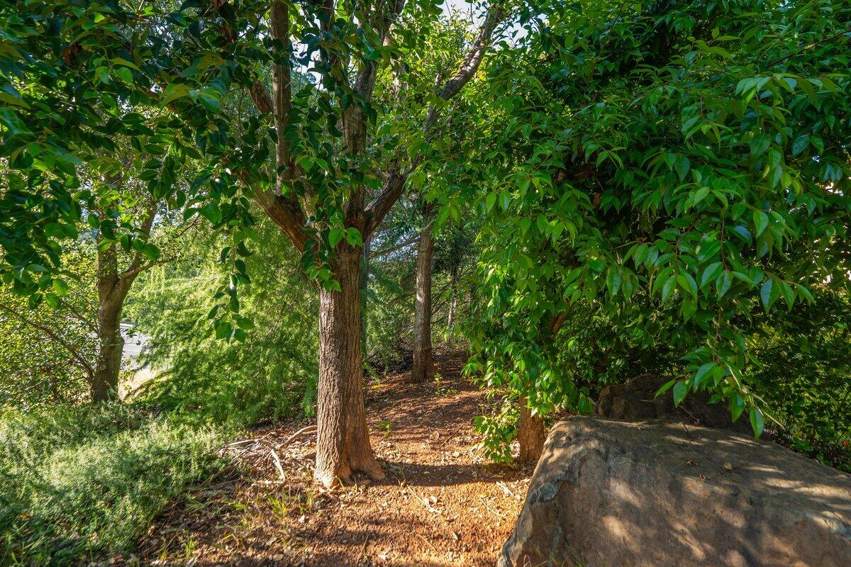 3197 Pinot Path Redding, CA 96001 - Photo 57 of 64 3197 Pinot Path - E-36 - Secret Garden