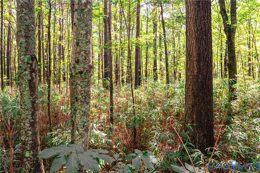663.8-acres Peach Road Chesapeake, VA 23321 - Photo 37 of 48 Gallery Image 37