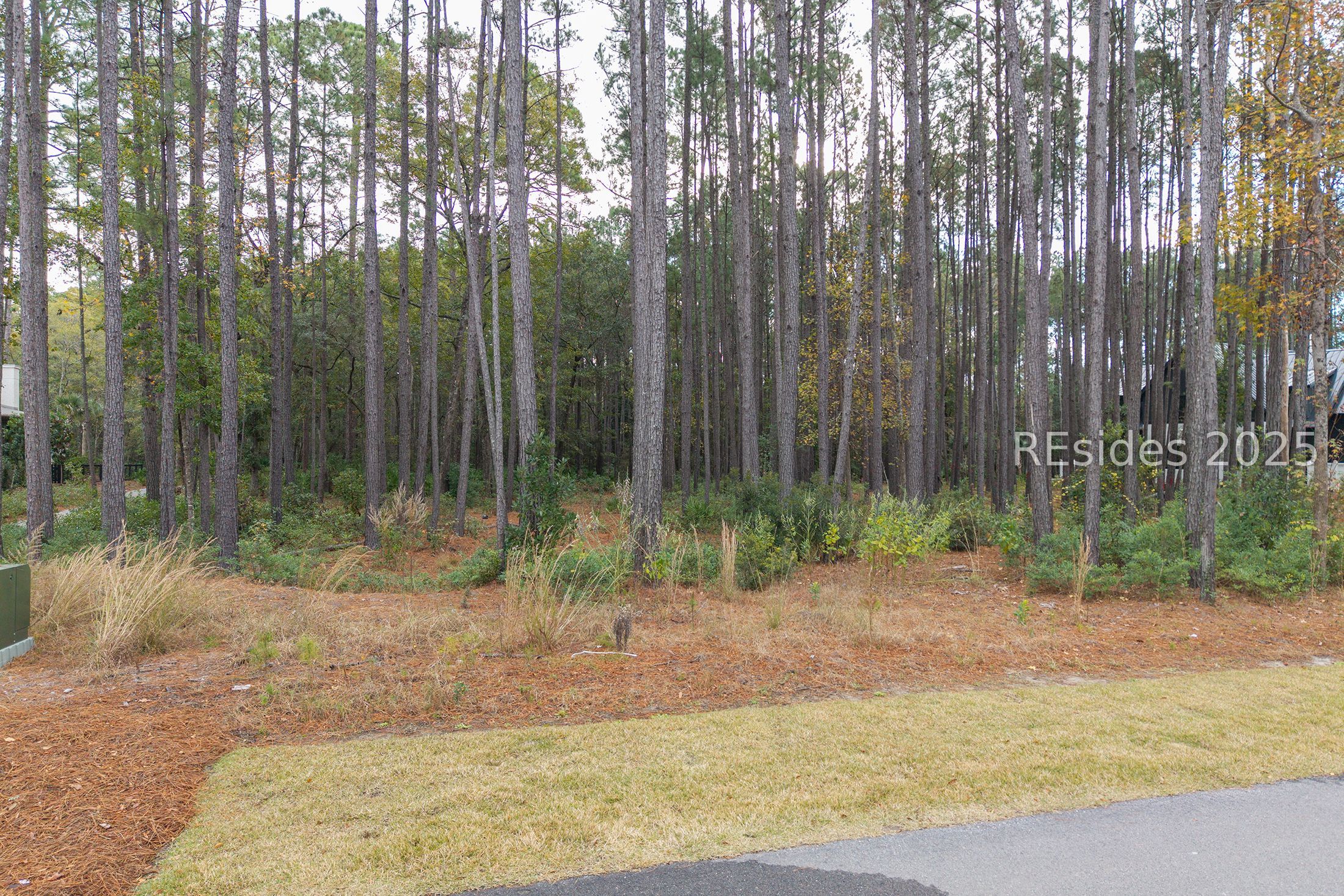 25 Lupine Road Bluffton, SC 29910 - Photo 14 of 22