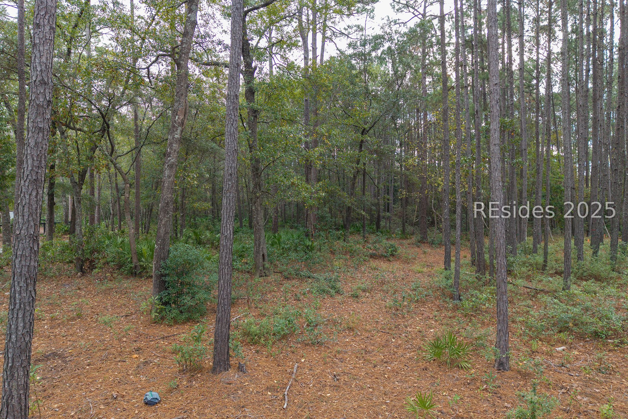 25 Lupine Road Bluffton, SC 29910 - Photo 16 of 22
