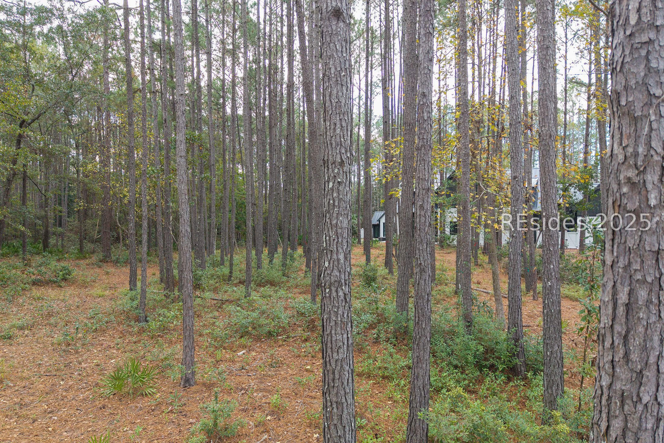 25 Lupine Road Bluffton, SC 29910 - Photo 17 of 22
