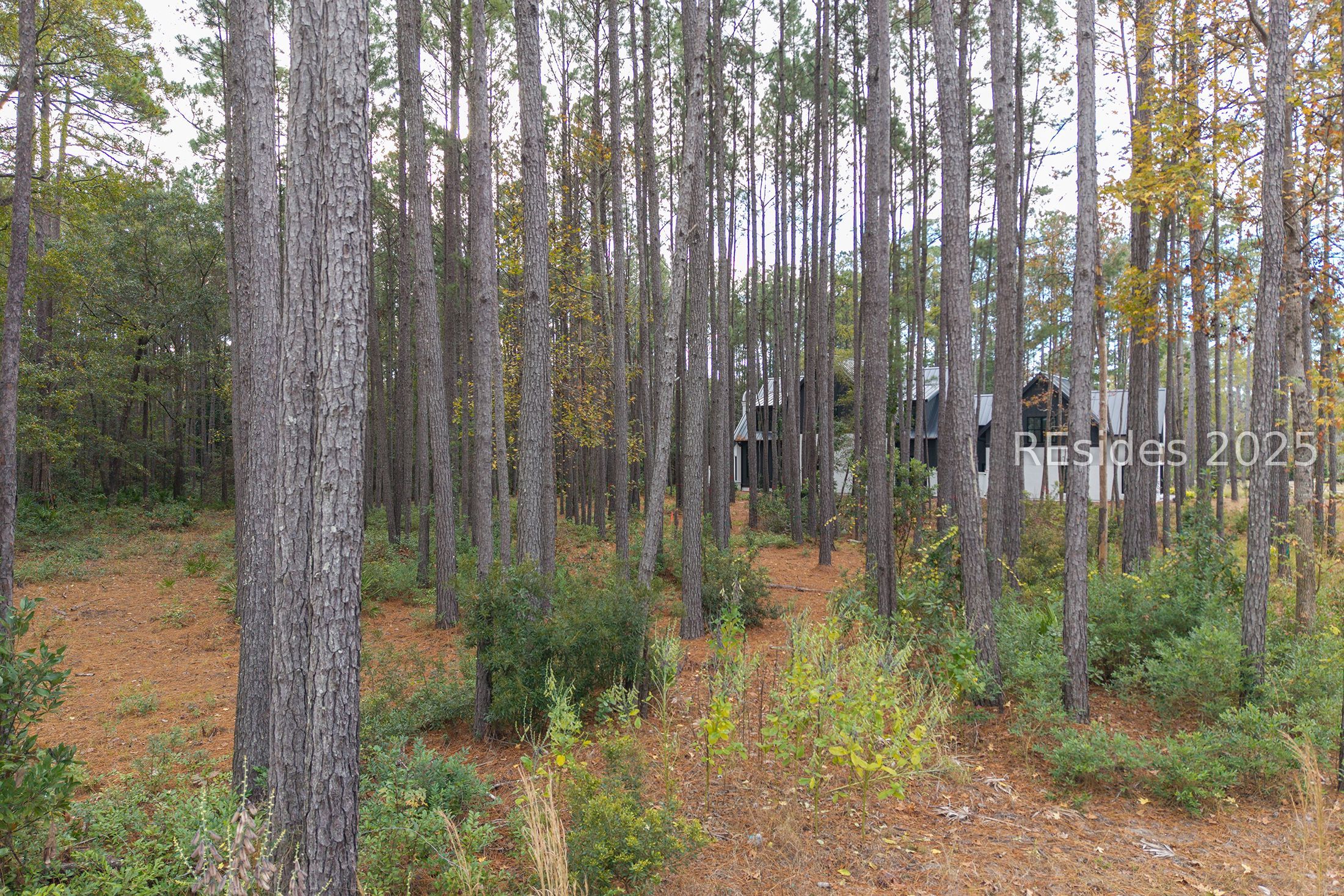 25 Lupine Road Bluffton, SC 29910 - Photo 21 of 22