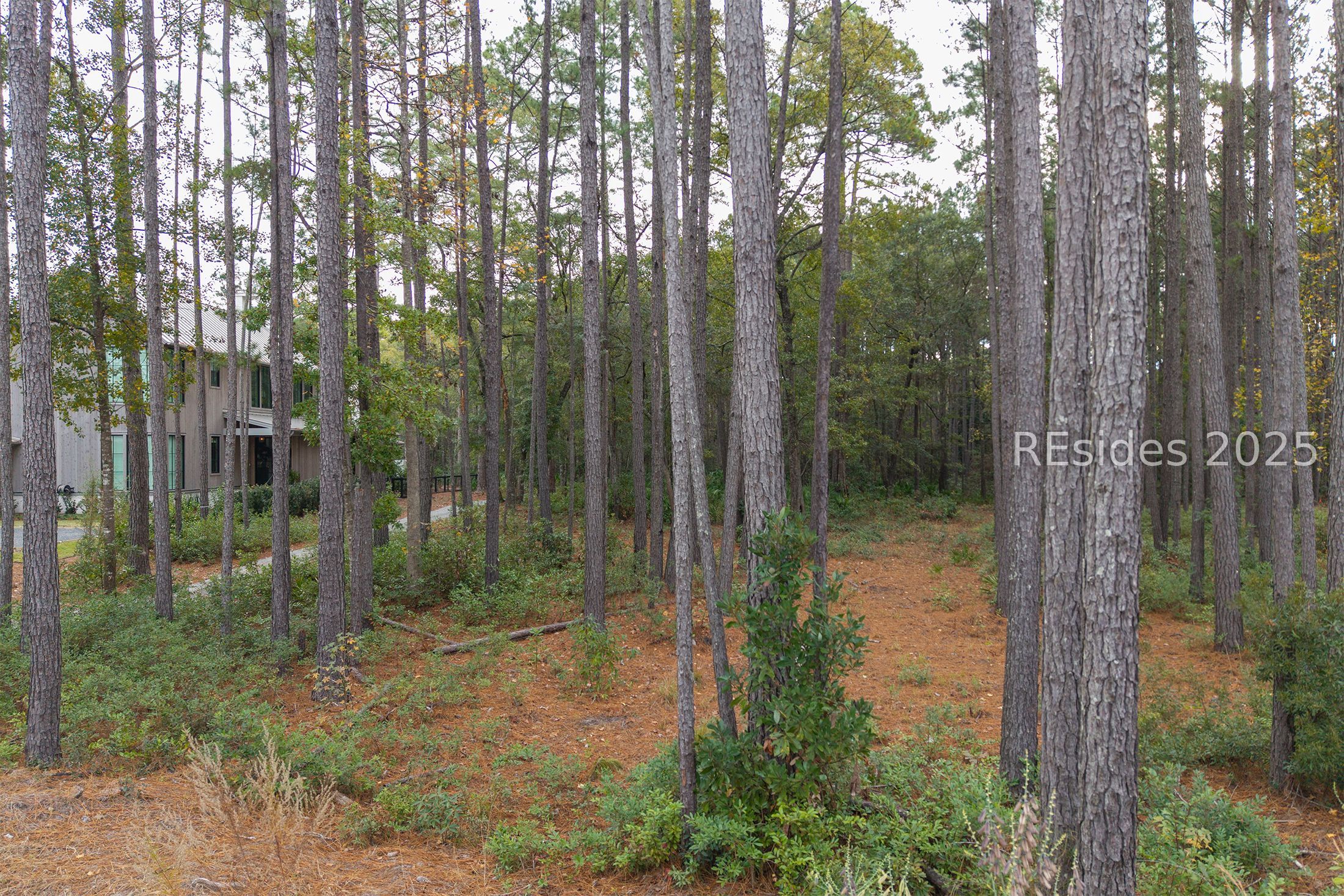 25 Lupine Road Bluffton, SC 29910 - Photo 22 of 22