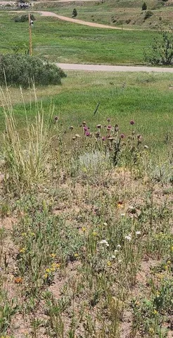a view of a golf course with a lake
