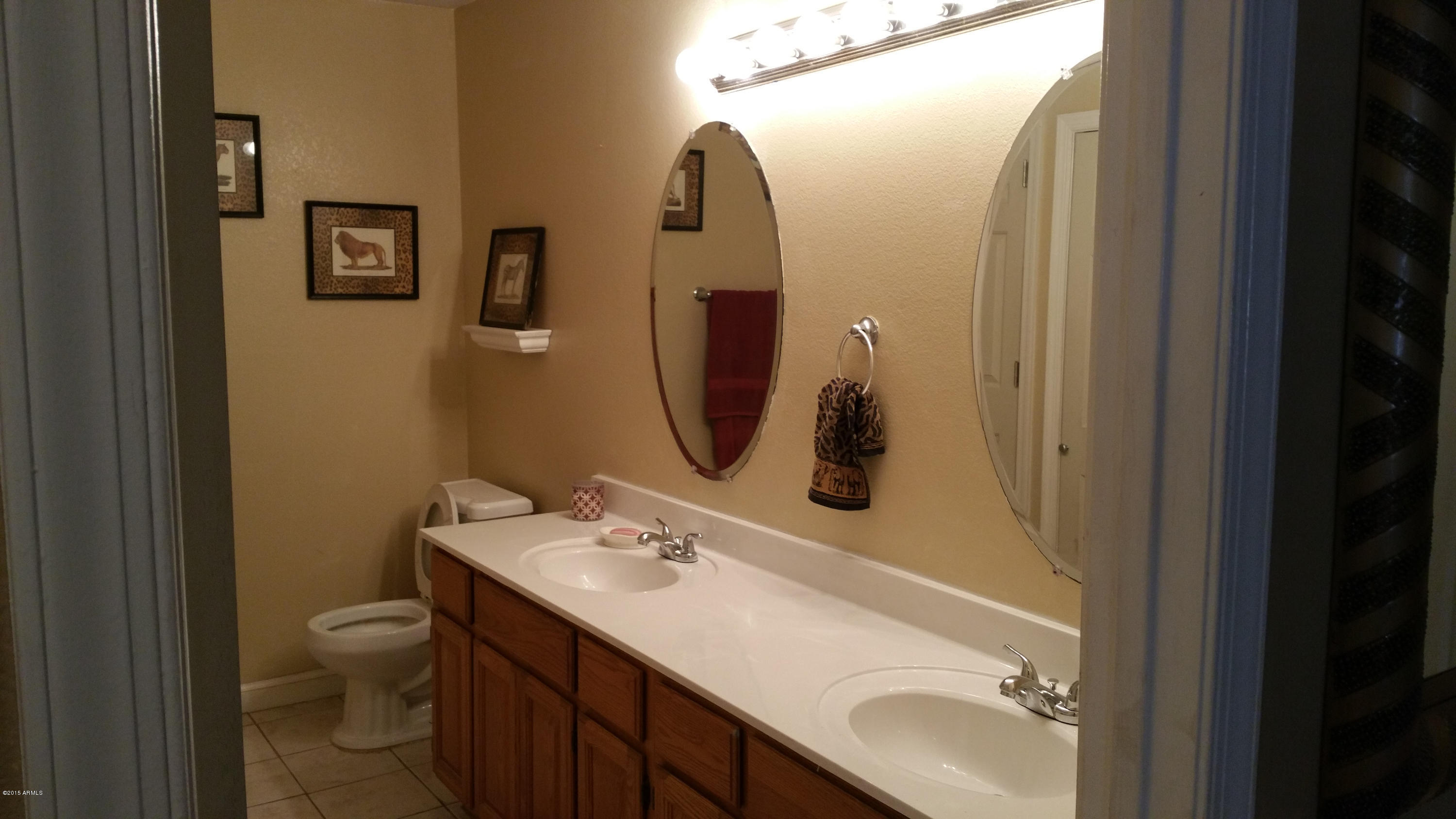 5171 South Greenfield Road Gilbert, AZ 85298 - Photo 44 of 48 Bath 1