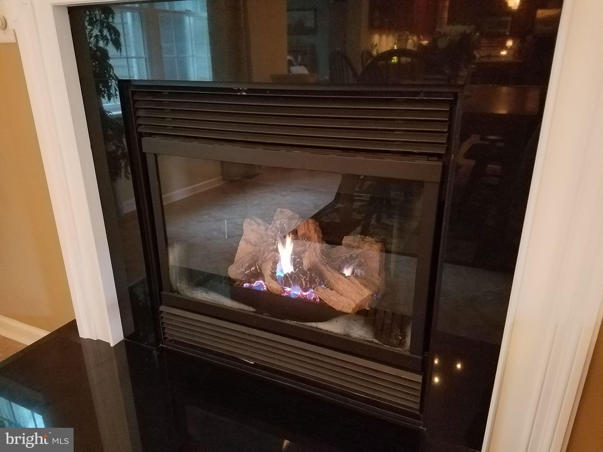 3019 Lexus Drive Spring Grove, PA 17362 - Photo 14 of 39 Gas Fireplace
