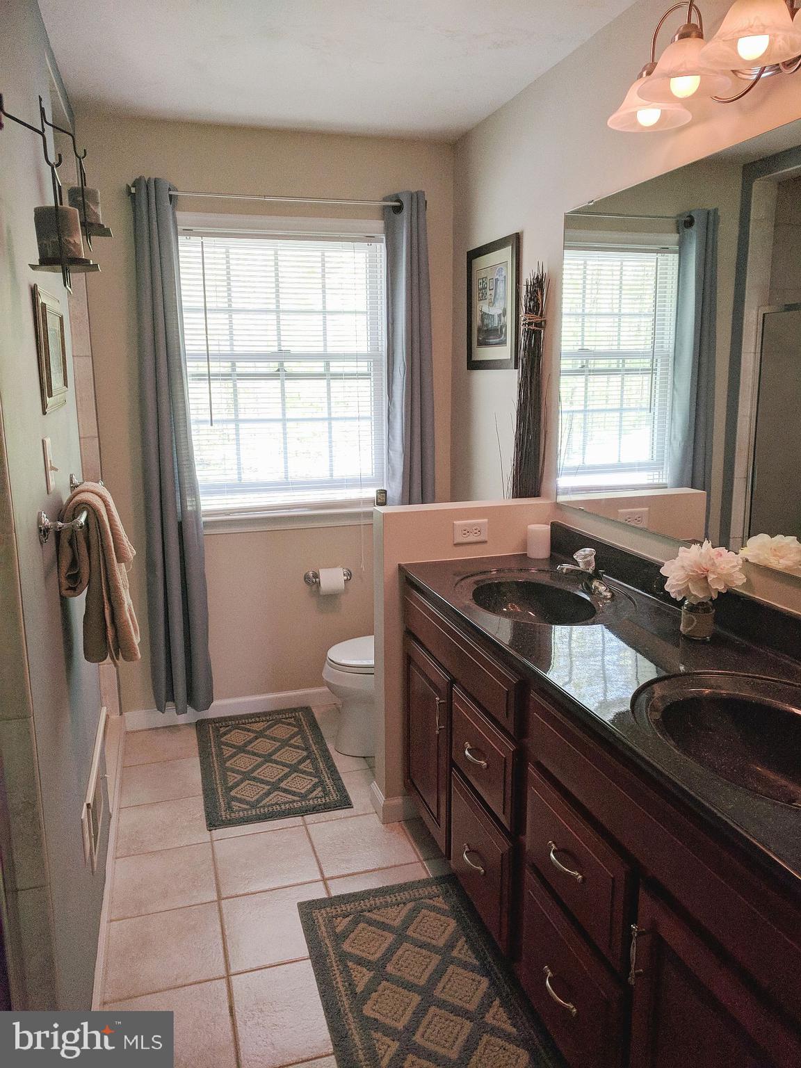 3019 Lexus Drive Spring Grove, PA 17362 - Photo 22 of 39 Luxury master bath