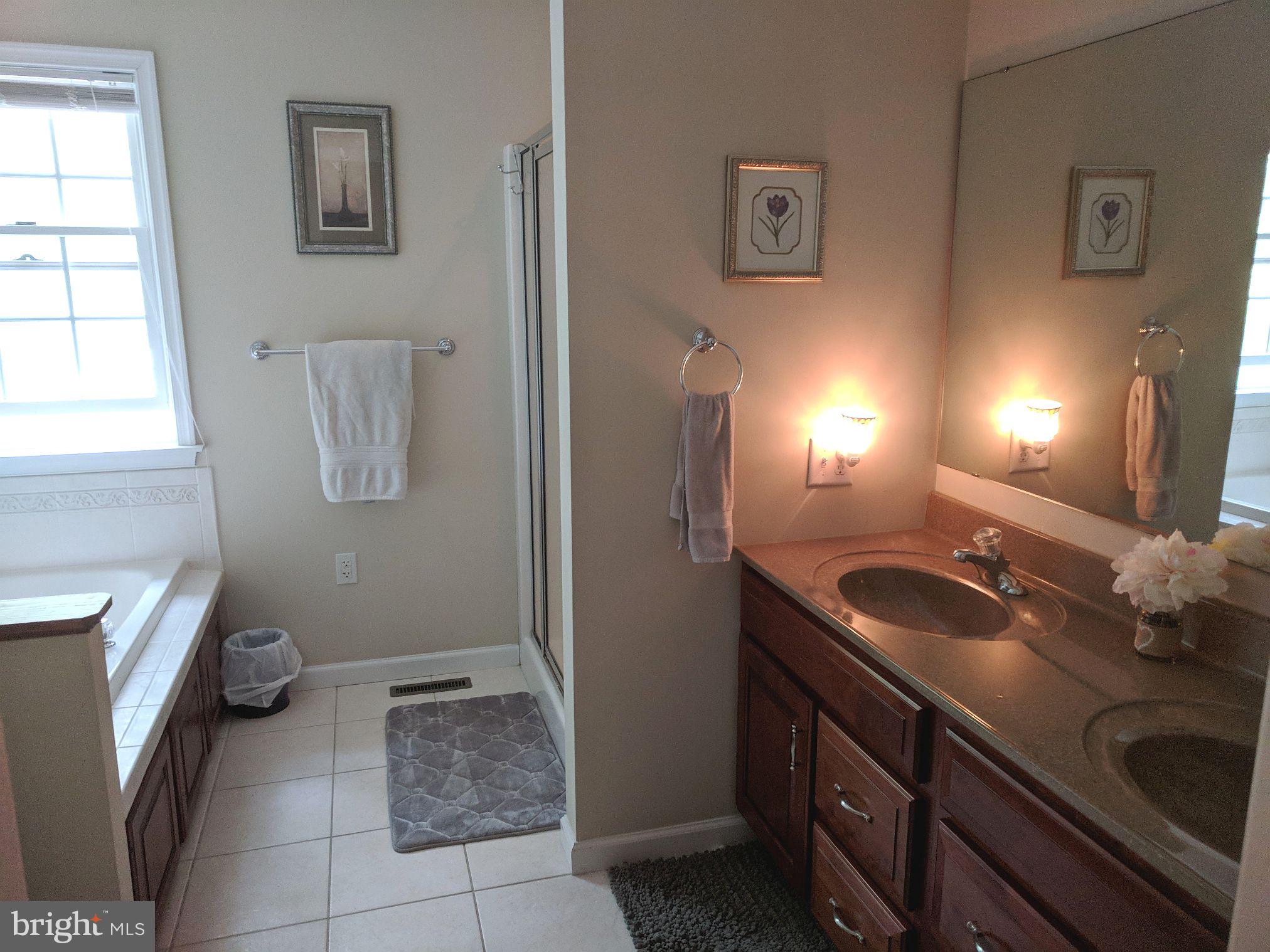 3019 Lexus Drive Spring Grove, PA 17362 - Photo 23 of 39 Second bath with soaking tub