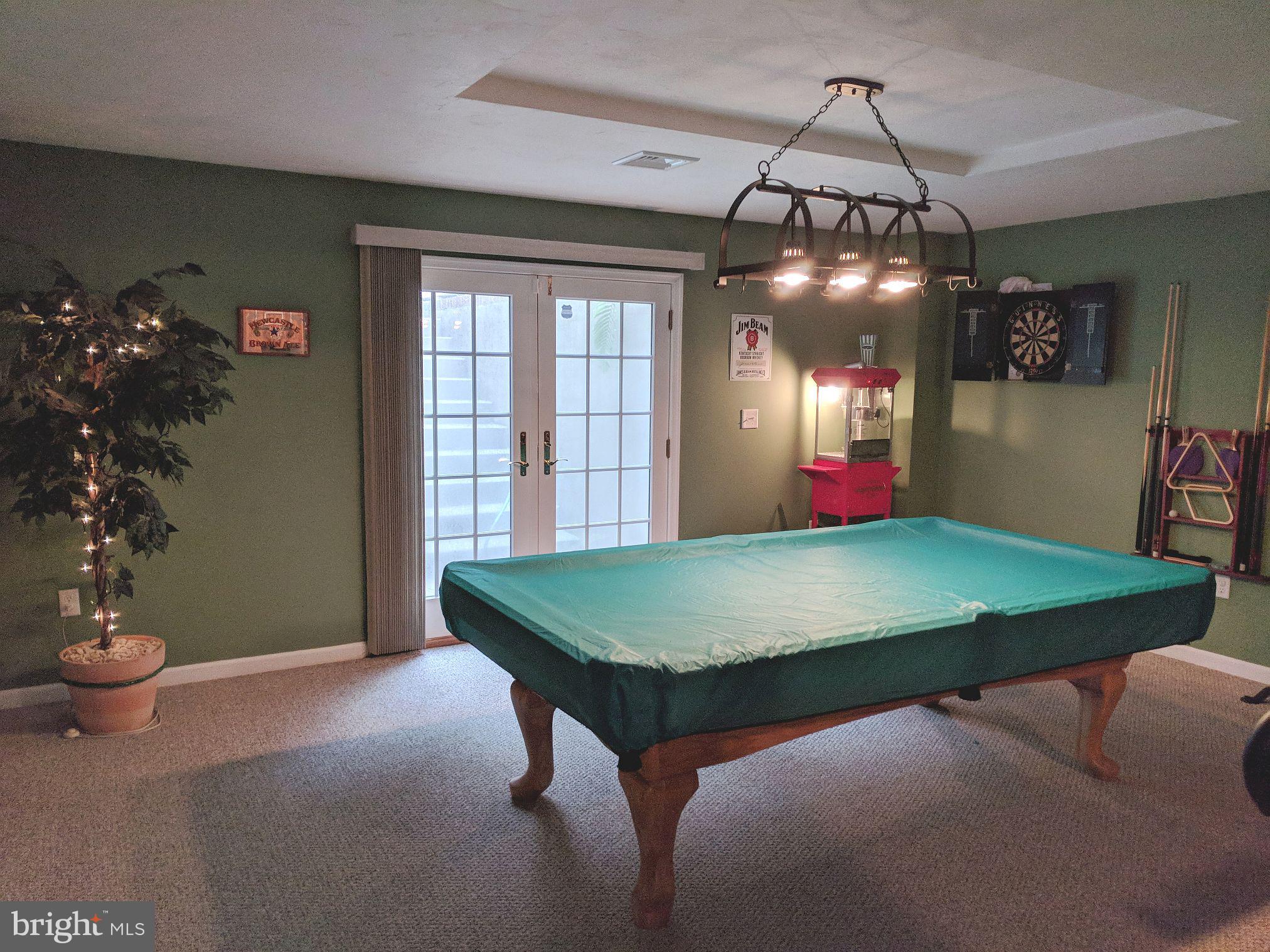 3019 Lexus Drive Spring Grove, PA 17362 - Photo 33 of 39 Game room with walk out