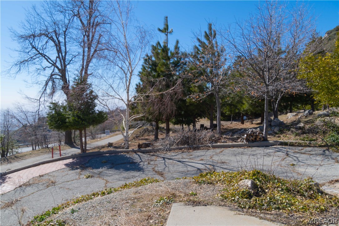 26262 Highway 18 Rimforest, CA 92378 - Photo 18 of 24 a view of a backyard with large trees