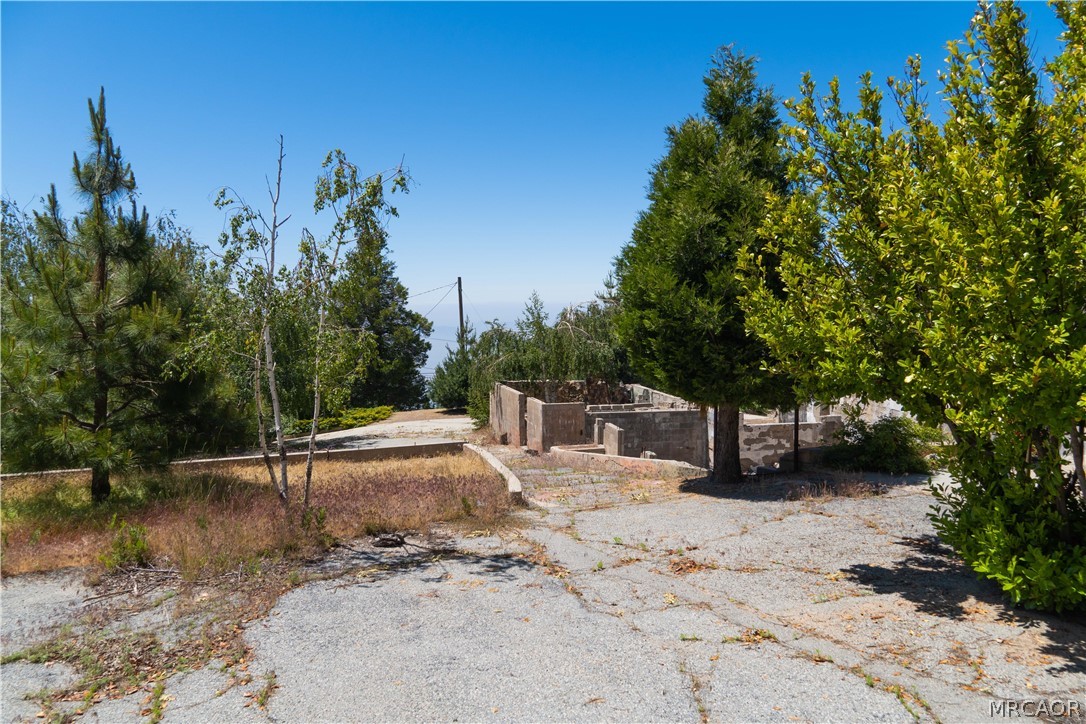 26262 Highway 18 Rimforest, CA 92378 - Photo 21 of 24 a view of a yard with a tree