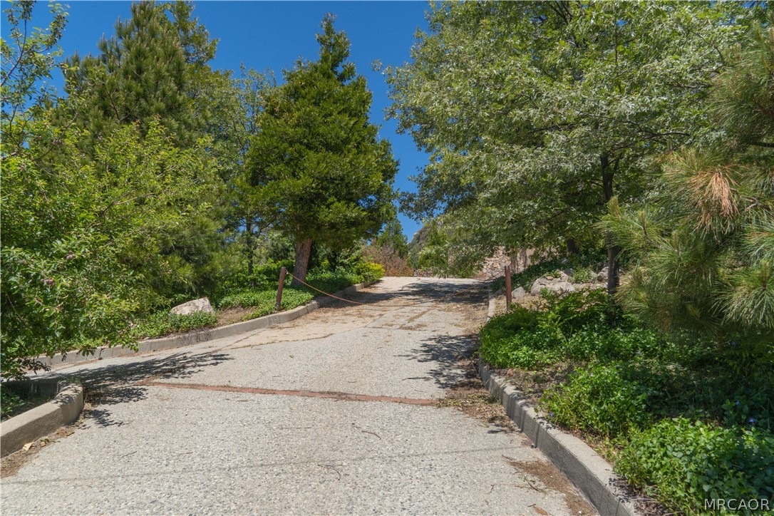 26262 Highway 18 Rimforest, CA 92378 - Photo 22 of 24 a view of a road with trees in front of it