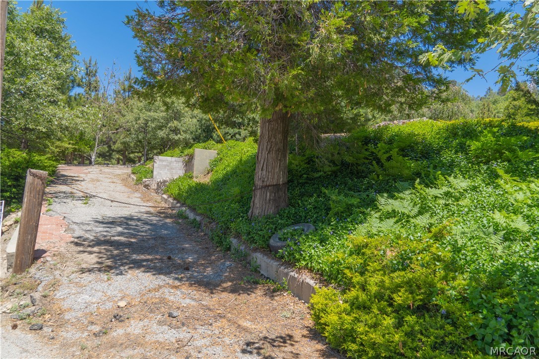 26262 Highway 18 Rimforest, CA 92378 - Photo 23 of 24 a view of a yard with plants and large trees