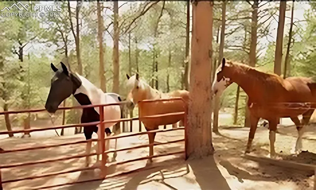 a view of a bench in middle of the green field