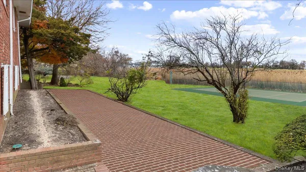 a view of a yard with flower plants