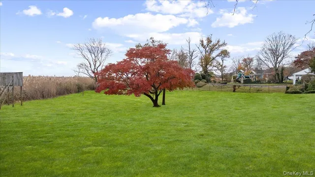 a backyard of a house with lots of green space