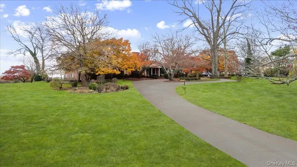 a view of a park with large trees