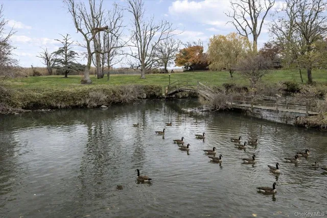 a view of a lake with houses