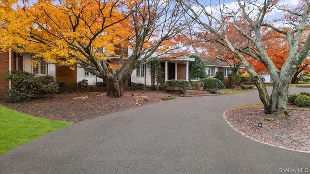 a front view of a house with yard tree and tree