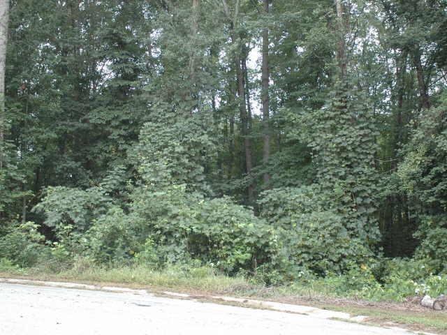 0 Ruby Lane Southeast, Unit 3 Commerce, GA 30530 - Photo 1 of 1 a view of a forest with trees in the background