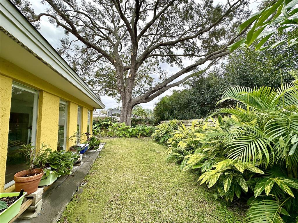 1883 Riviera Circle Sarasota, FL 34232 - Photo 6 of 45 a view of a backyard with garden