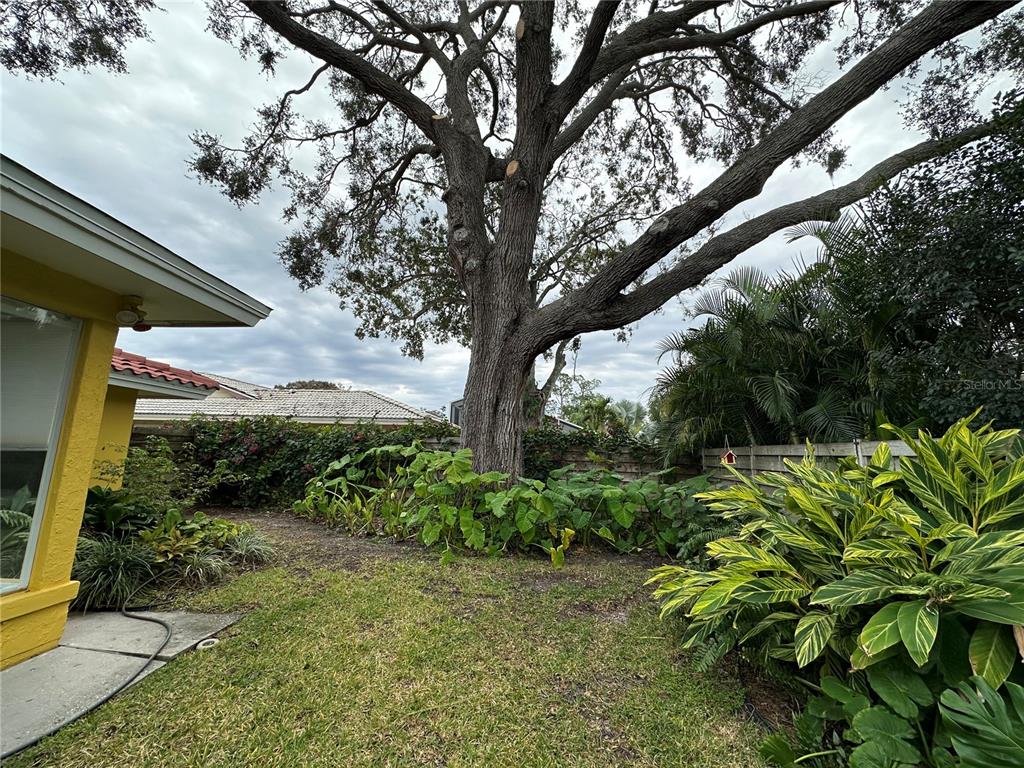 1883 Riviera Circle Sarasota, FL 34232 - Photo 7 of 45 a backyard of a house with lots of green space
