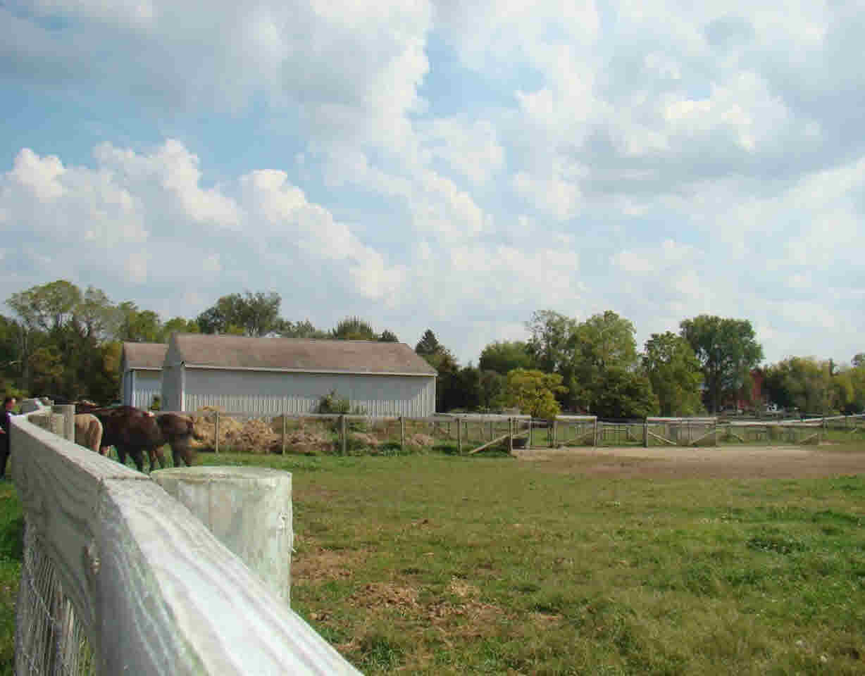 4580 Gregory Road Goodrich, MI 48438 - Photo 13 of 28 21372457-12.JPG