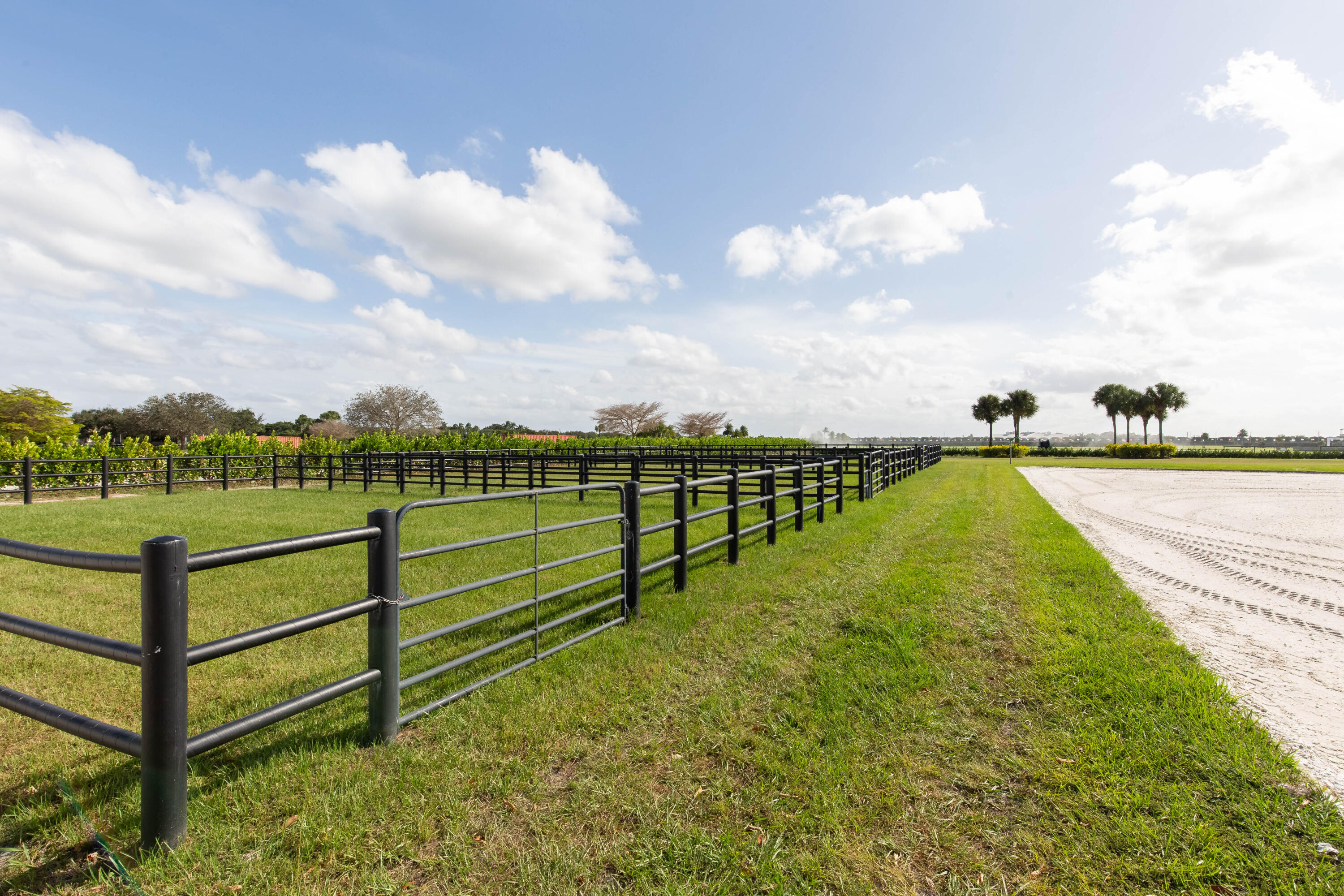 13250 Southfields Road Wellington, FL 33414 - Photo 64 of 72 Paddocks
