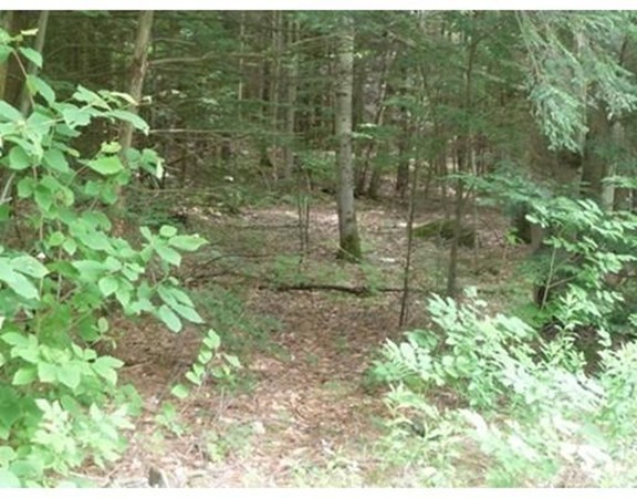 0 Athol Road Warwick, MA 01378 - Photo 11 of 12 Gallery Image 11