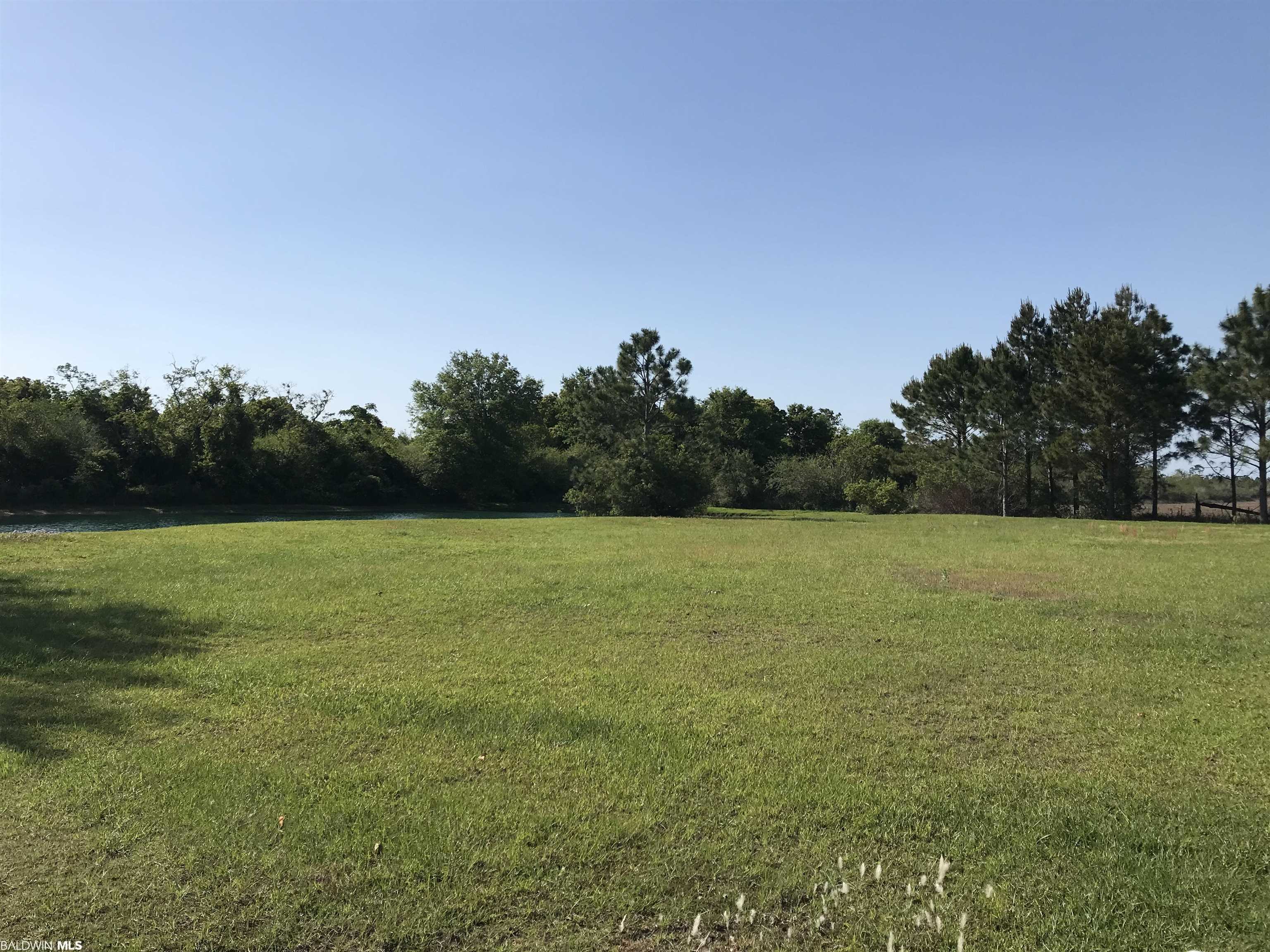0 Rocky Rd Loop Gulf Shores, AL 36542 - Photo 3 of 17 Yard