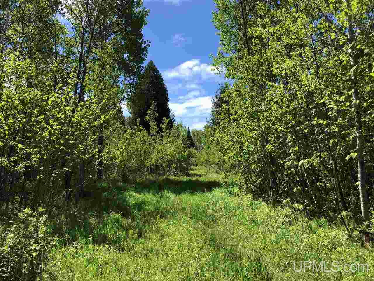 Tbd 160 Acres Camp 23 Road Gulliver, MI 49840 - Photo 6 of 48