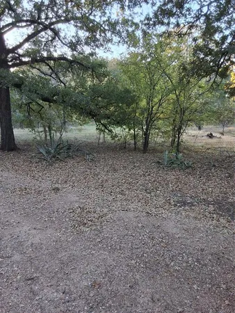 a view of a dry yard with trees