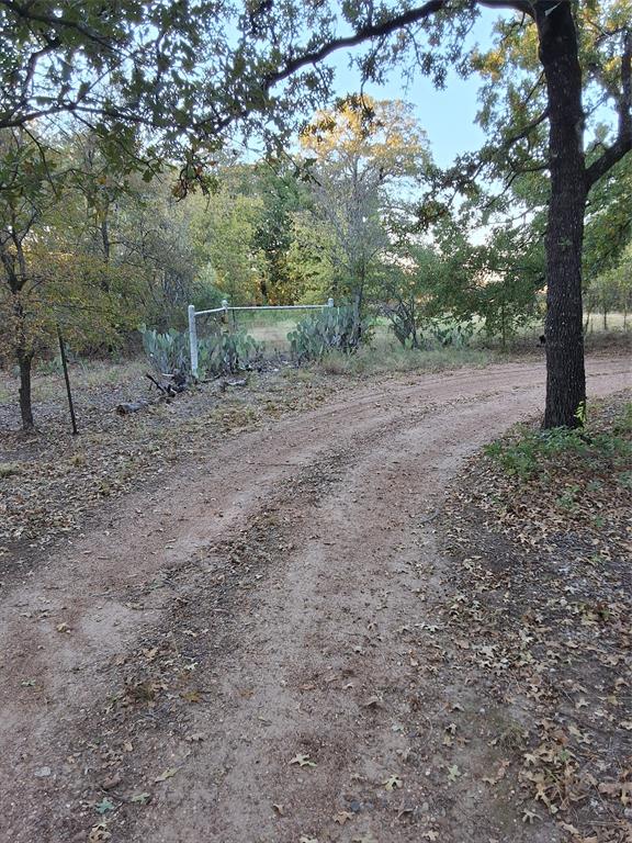 5765 Tokio Road West, TX 76691 - Photo 10 of 10 a view of a yard with a tree