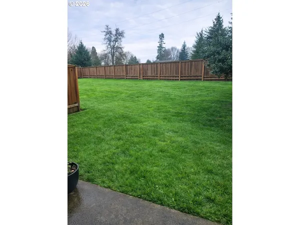 a picture of a bench in a yard
