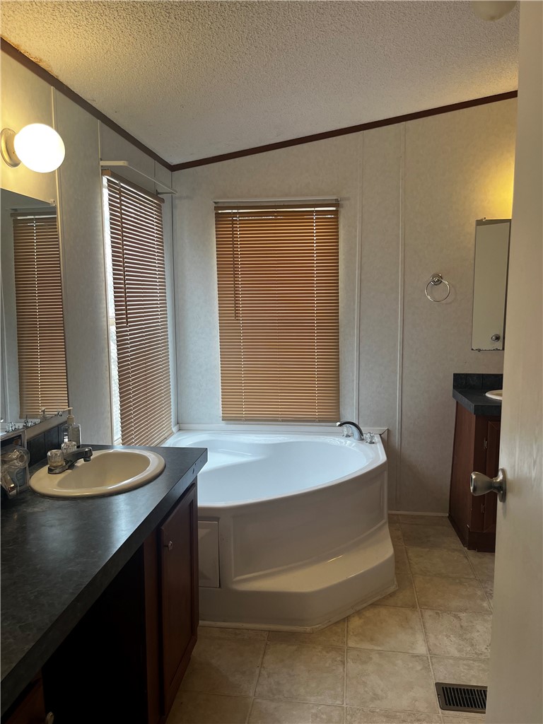 388 County Road 1341 Alice, TX 78332 - Photo 14 of 21 Master Bathroom