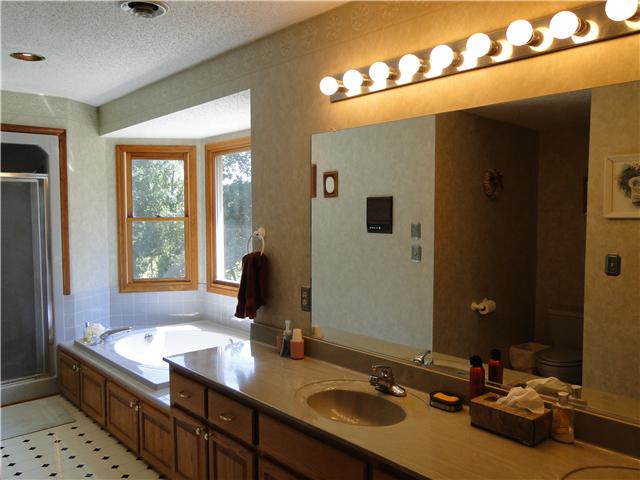 2386 Joe Brown Road Spring Hill, TN 37174 - Photo 11 of 20 Master bath with whirlpool, shower, double sinks, and large walk-in closet.