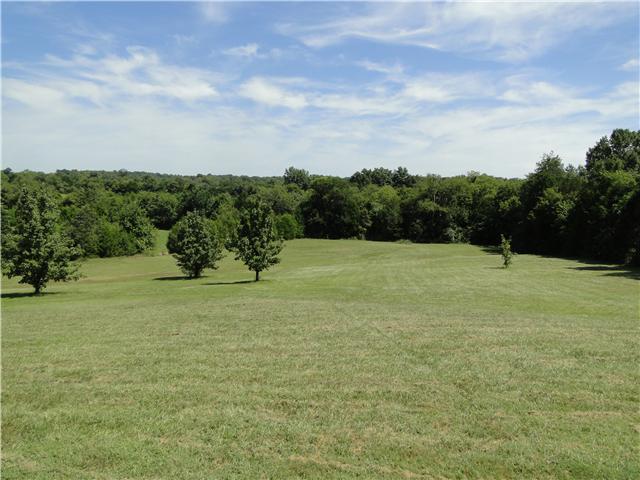 2386 Joe Brown Road Spring Hill, TN 37174 - Photo 5 of 20 East yard with view of opening of adjoining 5.3 acres of pasture
