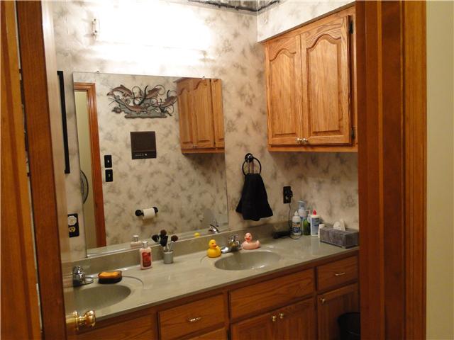 2386 Joe Brown Road Spring Hill, TN 37174 - Photo 10 of 20 2nd floor bathroom