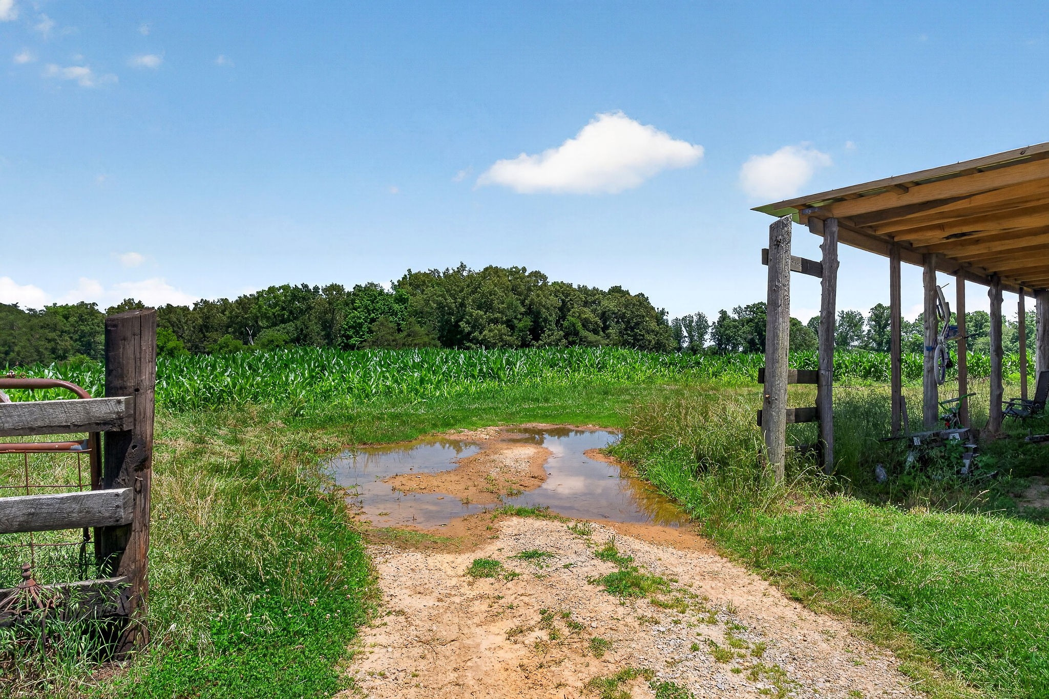 2531 Old Well Road Morrison, TN 37357 - Photo 33 of 63