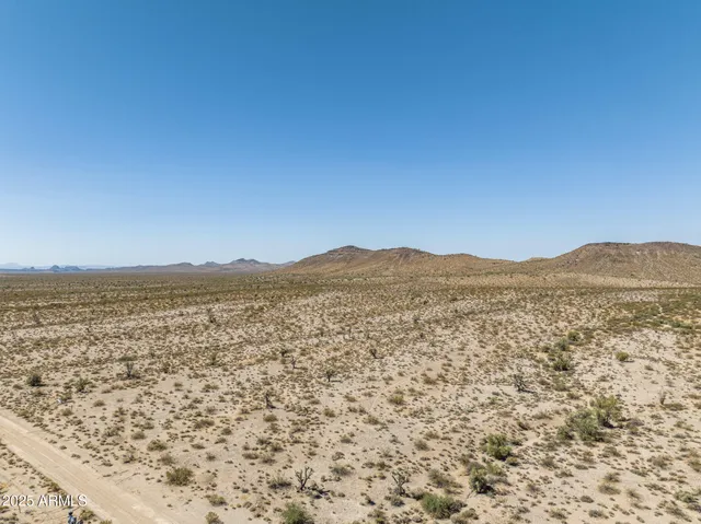 a view of a dry yard with wooden fence