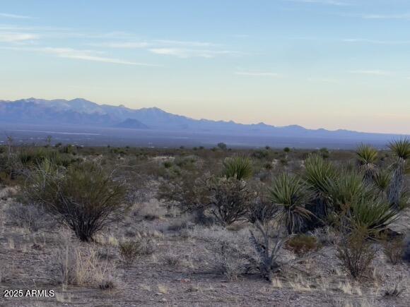0 Pipeline Rd Lake Yucca, AZ 86438 - Photo 23 of 53 a view of a lush green field with mountains in the background