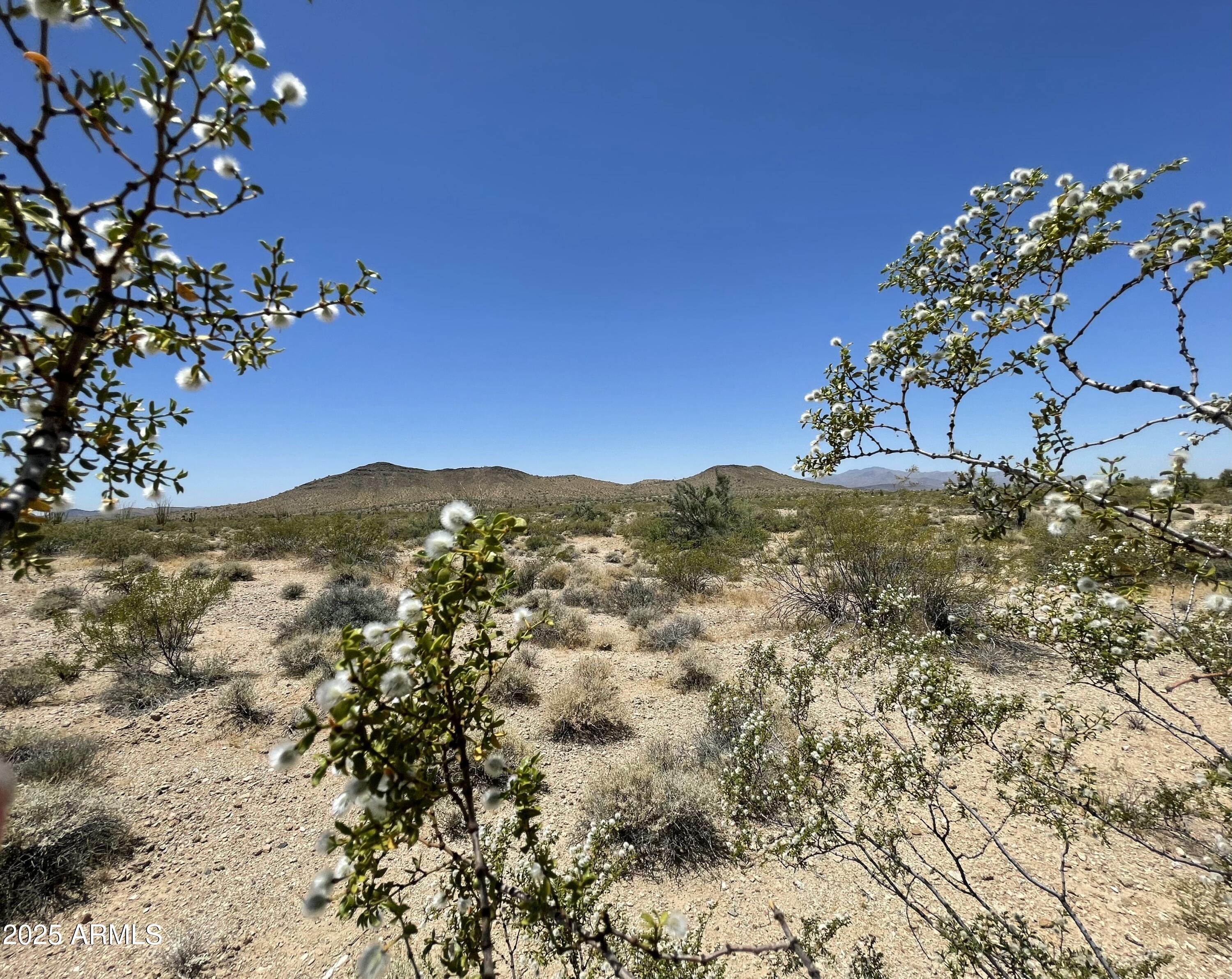 0 Pipeline Rd Lake Yucca, AZ 86438 - Photo 25 of 53 a view of a mountain