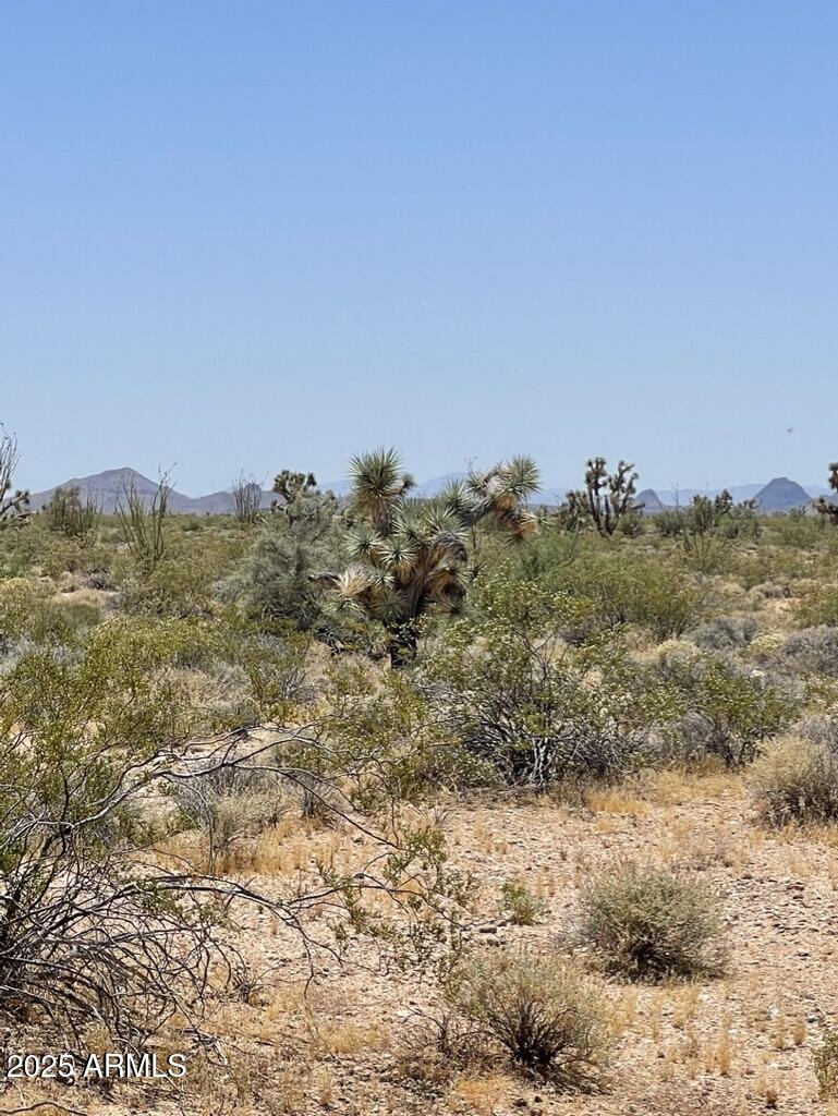 0 Pipeline Rd Lake Yucca, AZ 86438 - Photo 26 of 53 a view of a sky