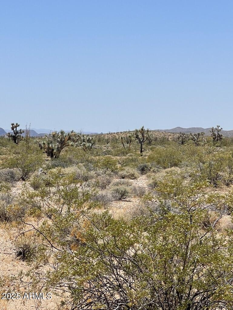 0 Pipeline Rd Lake Yucca, AZ 86438 - Photo 29 of 53 a view of a field and mountains in the background