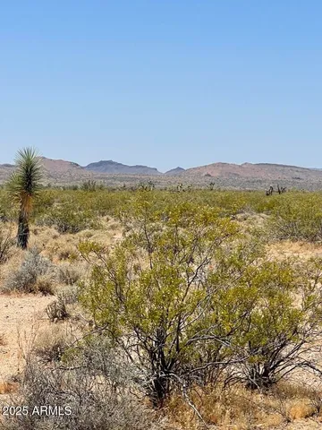 a view of an ocean beach