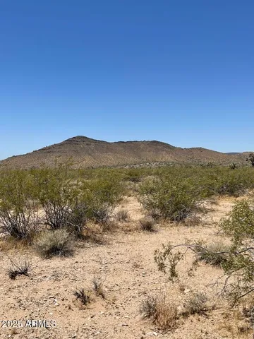 a view of a mountain range with a lush green forest