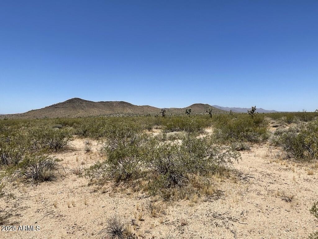 0 Pipeline Rd Lake Yucca, AZ 86438 - Photo 38 of 53 a view of a dry yard with mountains in the background